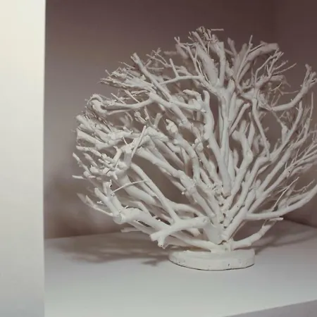 펜션 Dimora Alborelli